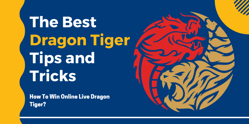 The Best Dragon Tiger Tips and Tricks