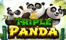 BK8 Triple Panda Slots Game